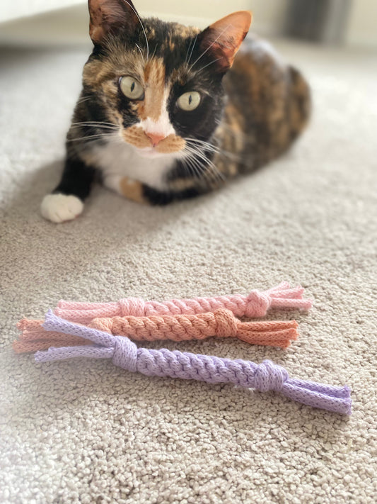Feline Toy