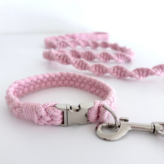 Collar + Leash