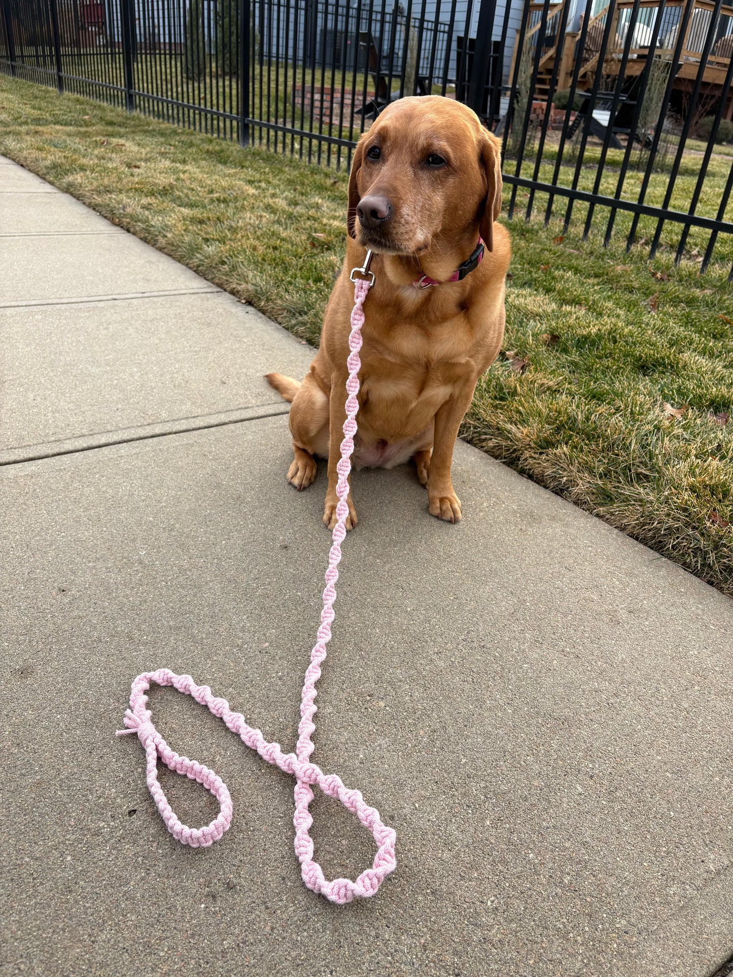 Everyday Collar Set