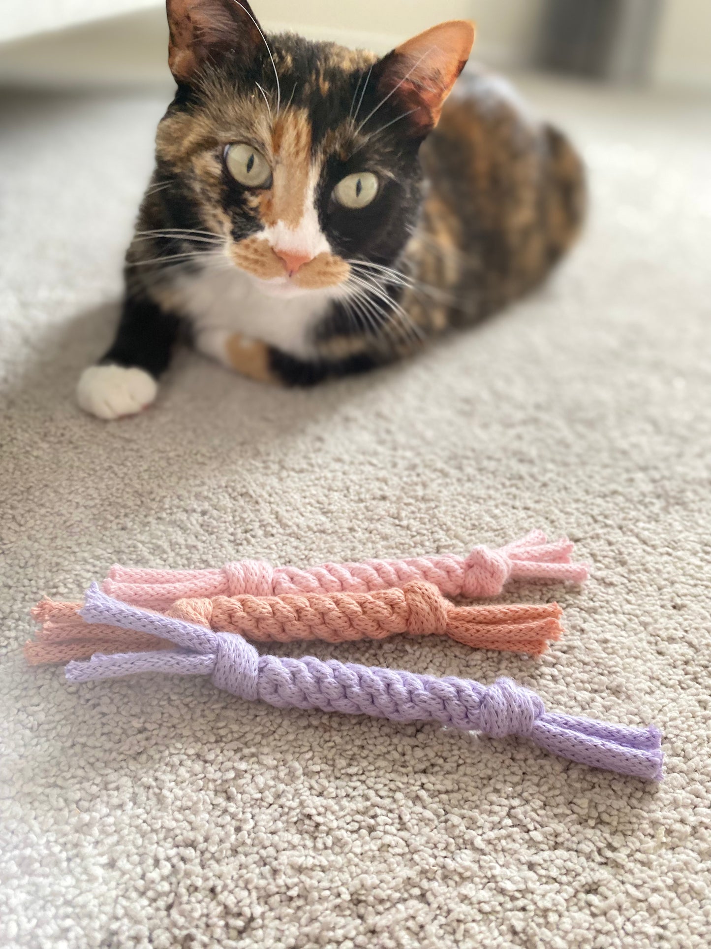 Feline Toy