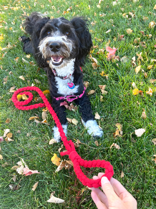 Classic Holiday Red Leash