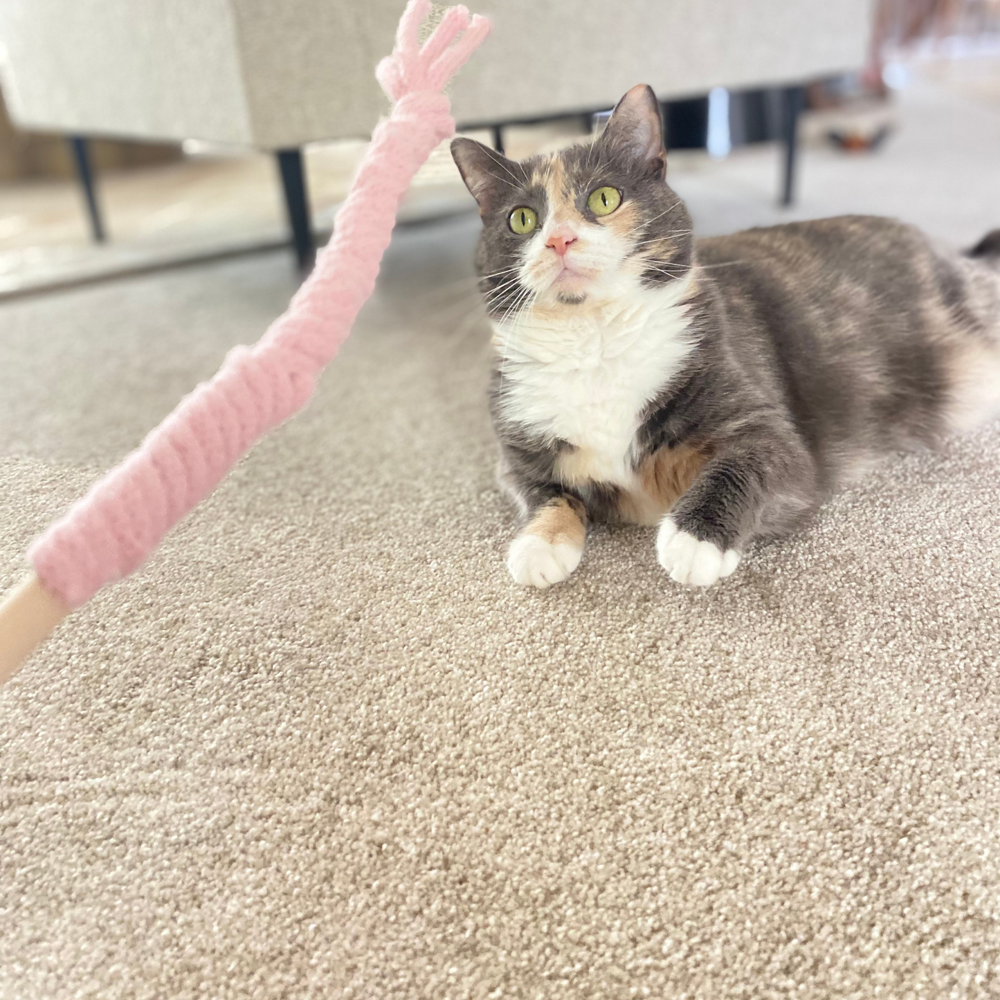 Flutter Wand