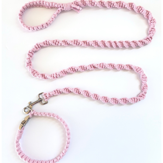 An Everyday Collar- Rugged Style Set