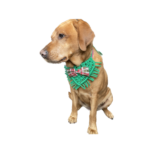 Classic Hideous Holiday Bandana