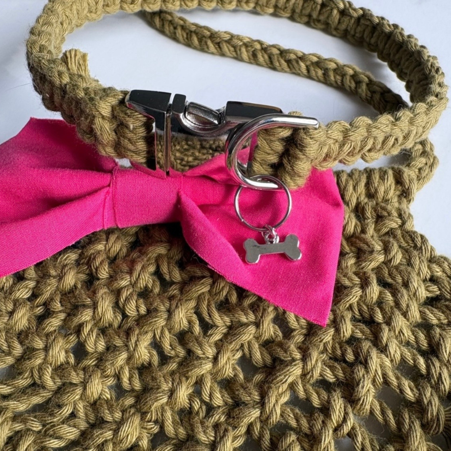 Bandana + Collar Set
